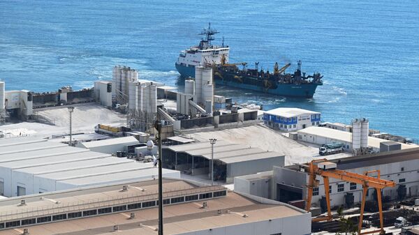 俄原子能集团：土耳其阿库尤核电站首个机组将在年底前启用 - 俄罗斯卫星通讯社