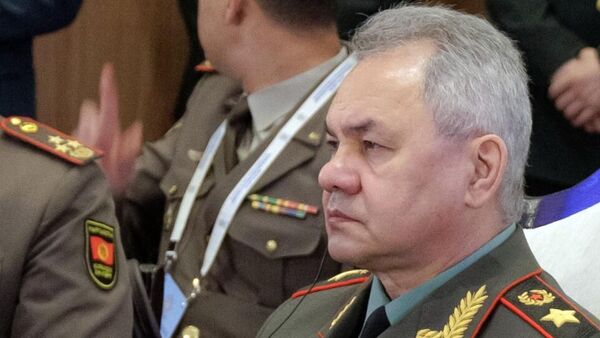 俄國防部長謝爾蓋·紹伊古 - 俄羅斯衛星通訊社