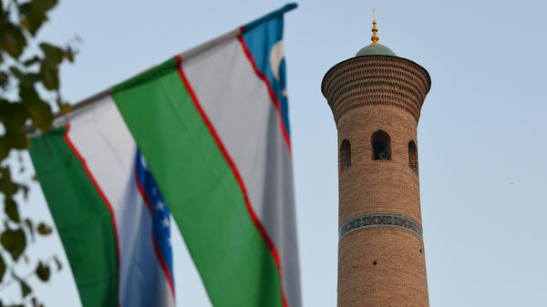 乌兹别克斯坦国旗 - 俄罗斯卫星通讯社
