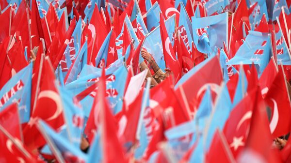 司法部长：土耳其人民在就民族和国家的未来做决定 - 俄罗斯卫星通讯社