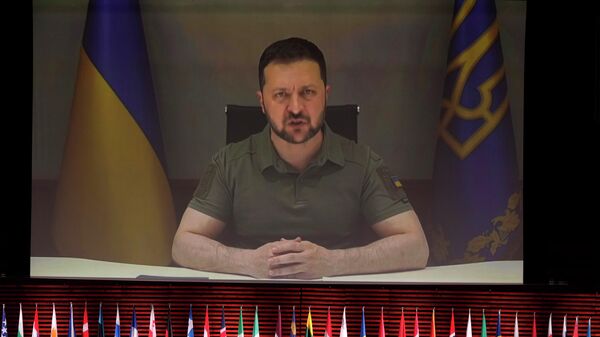 澤連斯基要求舉行烏克蘭和平峰會，推進他提出的“和平計劃” - 俄羅斯衛星通訊社