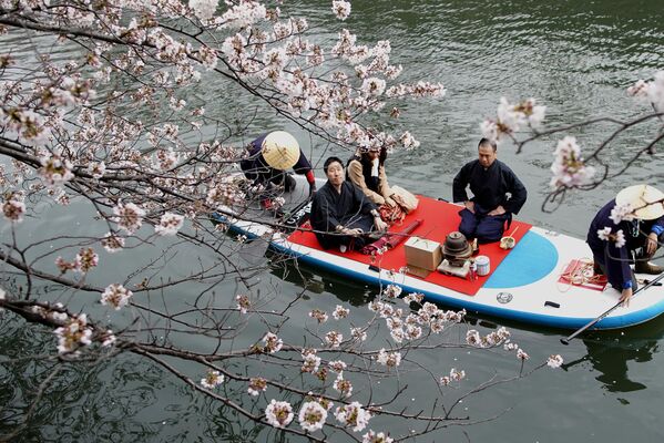 日本横滨，一对夫妇边乘船边享受茶道。 - 俄罗斯卫星通讯社