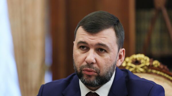 頓涅茨克領導人：頓涅茨克人民共和國的每個人目前都不安全，但必須克服  - 俄羅斯衛星通訊社