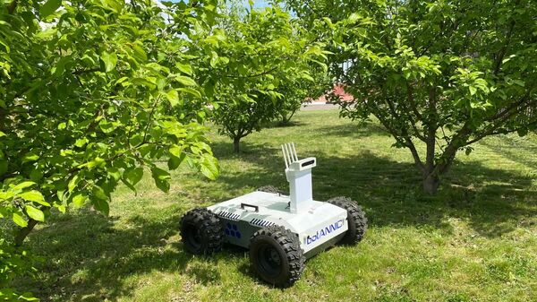 俄中兩國科研人員研制出一種機器人，其運用可提高果園產量 - 俄羅斯衛星通訊社