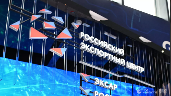 俄出口中心向對華出口商提供13億美元的支持 - 俄羅斯衛星通訊社