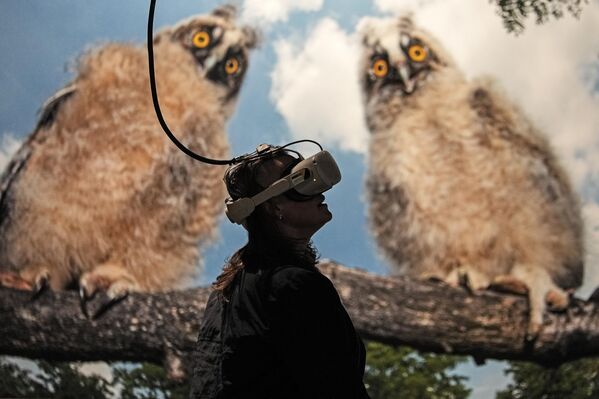 一名游客使用VR虚拟现实设备参观德国《脆弱天堂》展览。 - 俄罗斯卫星通讯社