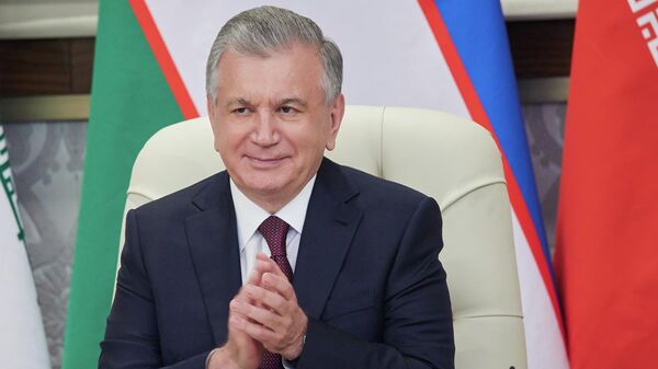 乌兹别克斯坦总统米尔济约耶夫 - 俄罗斯卫星通讯社