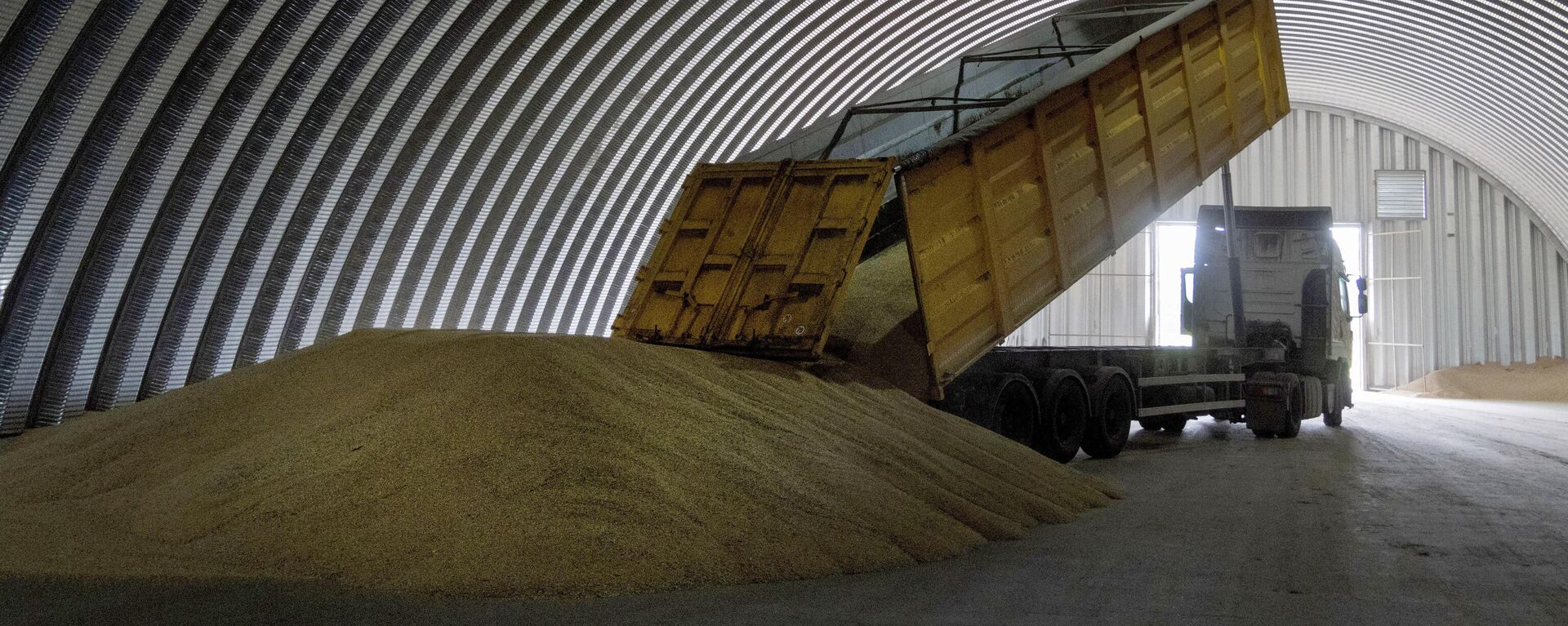 媒体：欧盟农产品进口新规可能导致乌克兰损失3.31亿欧元
 - 俄罗斯卫星通讯社, 1920, 28.03.2024