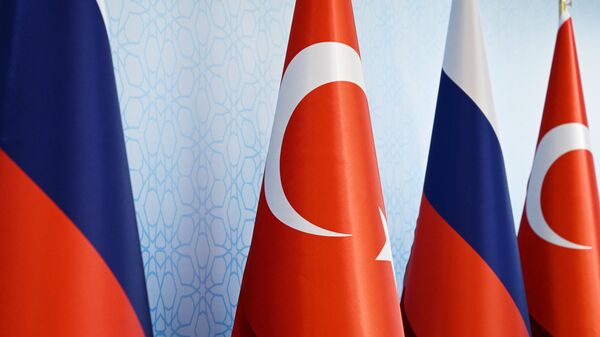 土耳其總統府消息人士：土幫助俄企規避制裁的指控毫無根據 - 俄羅斯衛星通訊社