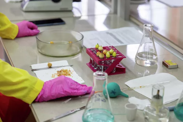 對生物墨水成分的生物安全評估 對生物墨水成分的生物安全評估 - 俄羅斯衛星通訊社