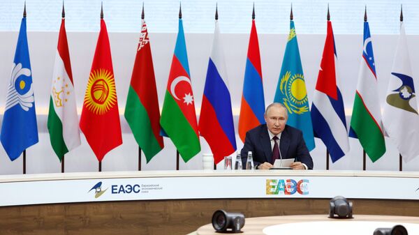 普京在會見獨聯體和歐亞經濟聯盟代表團團長時 - 俄羅斯衛星通訊社
