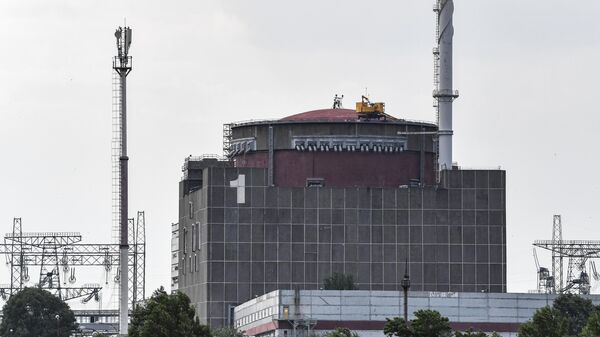 國際原子能機構稱扎波羅熱核電站附近地雷不構成安全威脅 - 俄羅斯衛星通訊社