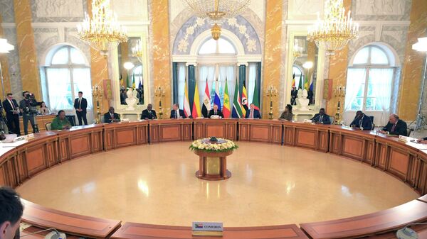 非洲国家希望在圣彼得堡与普京讨论和平倡议 - 俄罗斯卫星通讯社
