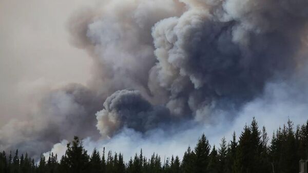 加拿大森林大火（資料圖片） - 俄羅斯衛星通訊社