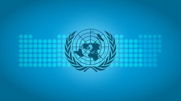 聯合國代表證實收到俄方關於拒絕延長黑海糧食倡議的照會 - 俄羅斯衛星通訊社