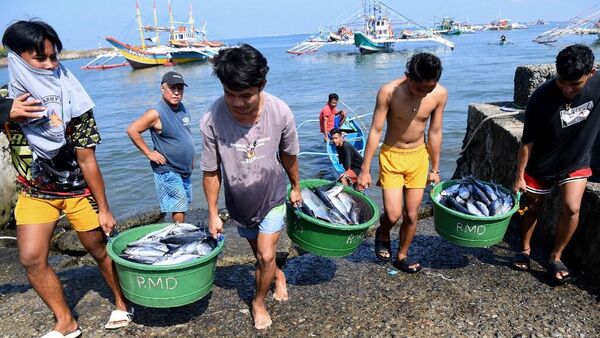 漁業捕撈是中國與菲律賓加強合作的領域 - 俄羅斯衛星通訊社