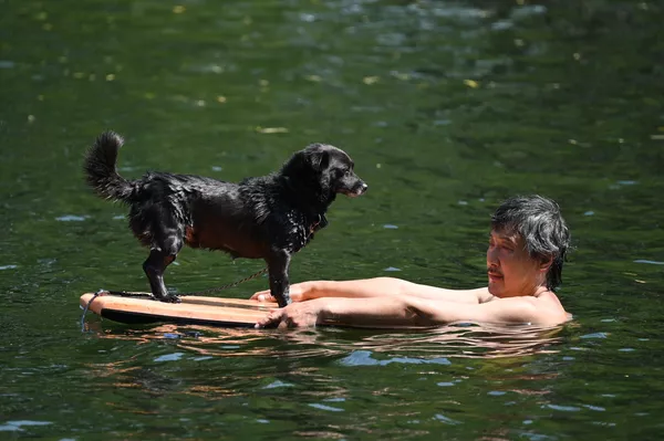 中國北京,一名男子帶著他的寵物犬在運河裡游泳 中國北京,一名男子帶著他的寵物犬在運河裡游泳 - 俄羅斯衛星通訊社