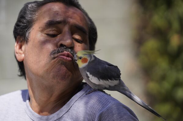 洛杉矶，艺术家瓦伦丁·阿科斯塔亲吻他的宠物鸟鲁洛 - 俄罗斯卫星通讯社