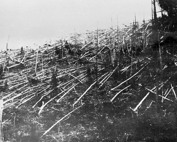 克拉斯诺亚尔斯克边疆区通古斯陨石坠落地点。这是1927年科学家到达坠落地点时针叶林的样子。 - 俄罗斯卫星通讯社