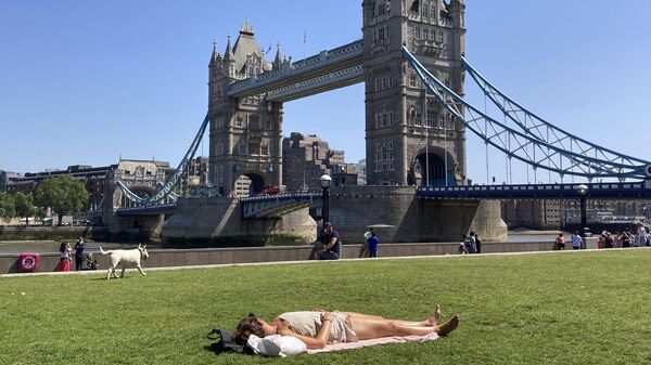 英国六月异常高温造成超过15亿美元的经济损失 - 俄罗斯卫星通讯社