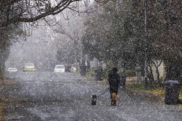南非约翰内斯堡男子在暴风雪中遛狗。 - 俄罗斯卫星通讯社