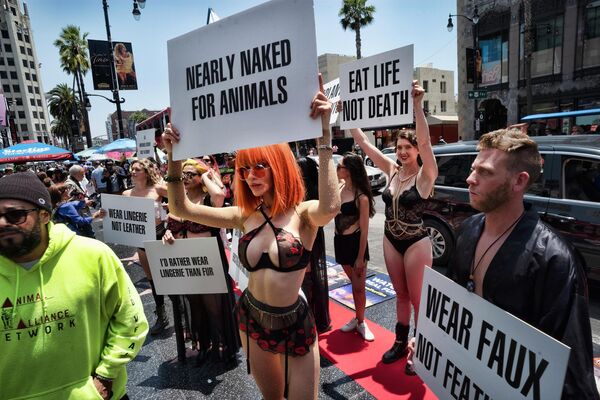 動物權利和氣候保護者在洛杉磯好萊塢星光大道舉行抗議。 - 俄羅斯衛星通訊社