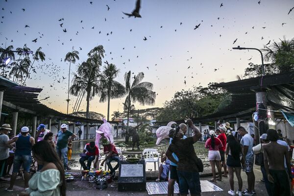 游客们在哥伦比亚莱蒂西亚广场看着头上飞翔的鸟群。 - 俄罗斯卫星通讯社