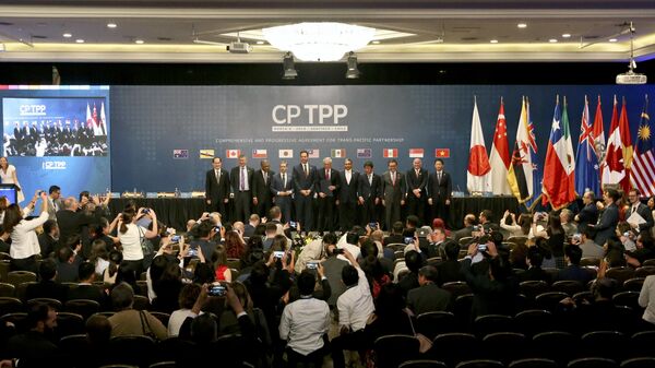 CPTPP（《全面與進步跨太平洋夥伴關係協定》） - 俄羅斯衛星通訊社