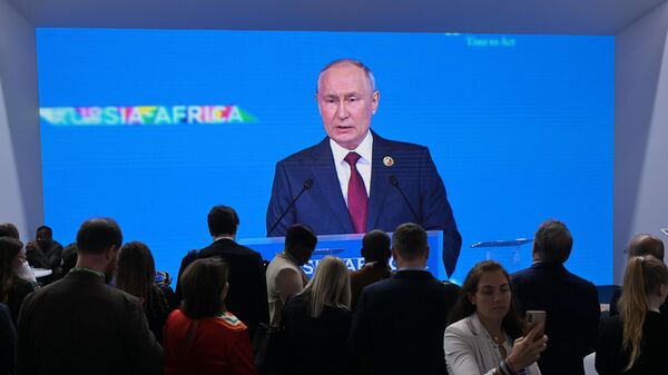 普京表示，我們樂觀地看待未來俄羅斯與非洲國家的關係 - 俄羅斯衛星通訊社