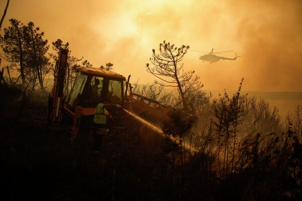 土耳其消防员在伊斯坦布尔郊区扑救森林大火 - 俄罗斯卫星通讯社