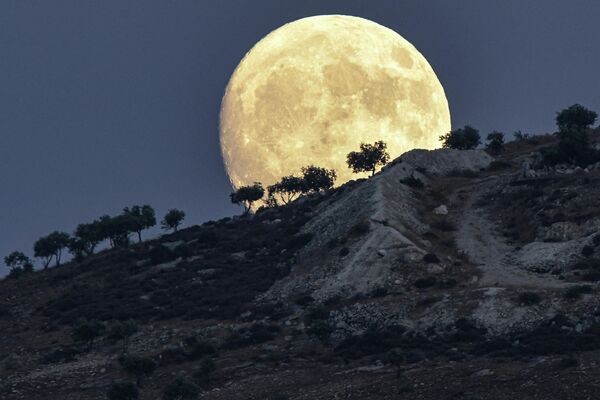叙利亚阿勒颇省金代里斯镇的超级月亮。 - 俄罗斯卫星通讯社