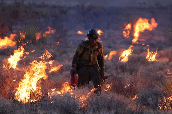 加利福尼亚州，一消防员正在燃烧着的莫哈韦国家保护区中，这场大火是由野火引起的。 - 俄罗斯卫星通讯社