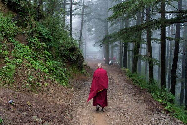 印度，藏传佛教僧人沿着达兰萨拉的山间小路行走 - 俄罗斯卫星通讯社