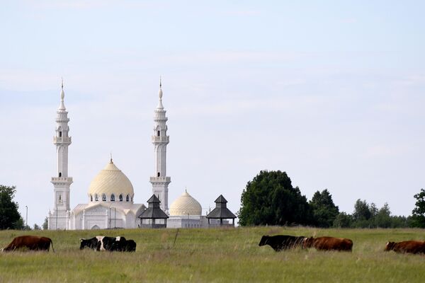 博爾加爾鎮的白色清真寺。為紀念伏爾加保加利亞正式接受伊斯蘭教日而舉行的傳統穆斯林大會 在博爾加爾舉行。 - 俄羅斯衛星通訊社