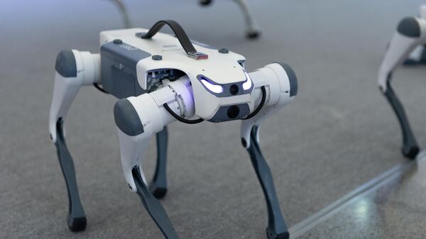动力与助手：机器人新成果亮相北京展会 