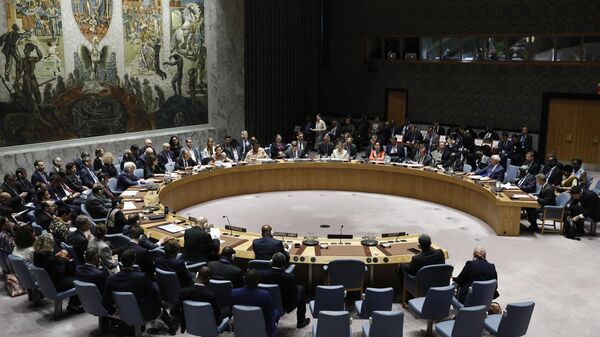 聯合國安理會通過關於加沙地帶人道主義停火的決議 - 俄羅斯衛星通訊社