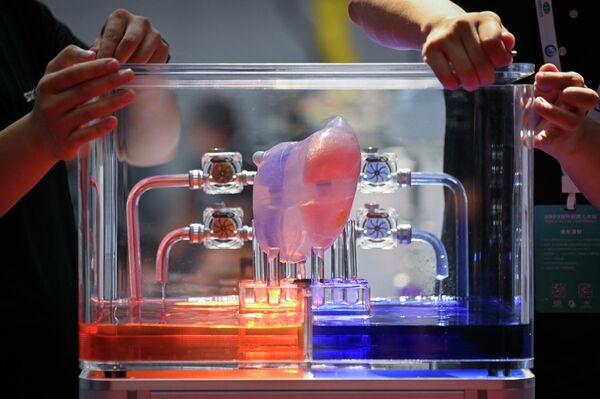 2023年8月16日在北京举行的2023世界机器人大会上拍摄的人工心脏。 - 俄罗斯卫星通讯社