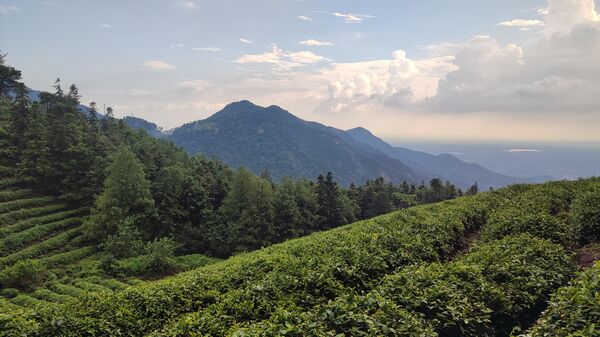 中俄蒙签署“万里茶道”旅游合作发展计划 - 俄罗斯卫星通讯社