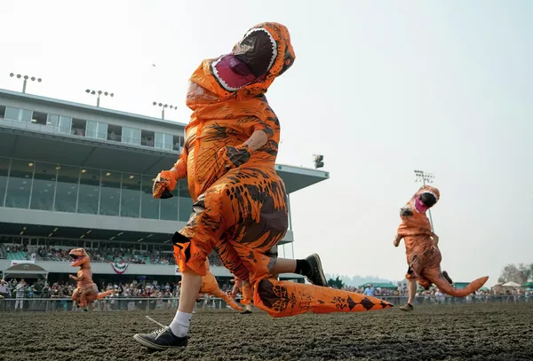 在美國翡翠唐斯賽馬場(Emerald Downs )舉行的T-Rex World Championship錦標賽上,參賽者裝扮成霸王龍再次奔跑。 在美國翡翠唐斯賽馬場(Emerald Downs )舉行的T-Rex World Championship錦標賽上,參賽者裝扮成霸王龍再次奔跑。 - 俄羅斯衛星通訊社