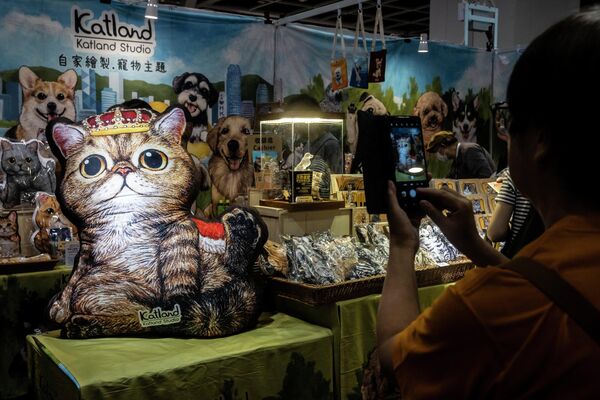 香港猫迷博览会现场大量猫形象的商品 - 俄罗斯卫星通讯社