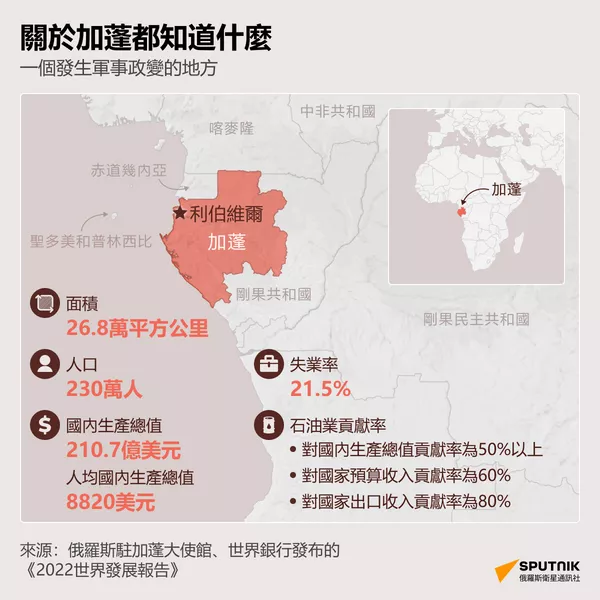 關於加蓬都知道甚麼 - 俄羅斯衛星通訊社