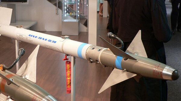 AIM-9M“響尾蛇”（Sidewinder）空空導彈 - 俄羅斯衛星通訊社