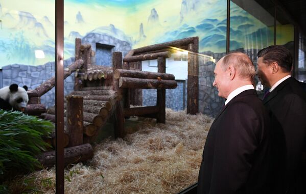 2019年6月5日，俄罗斯总统普京和中国国家主席习近平出席中国政府向莫斯科动物园移交两只大熊猫的仪式，莫斯科动物园为它们建立了专门场馆。 - 俄罗斯卫星通讯社