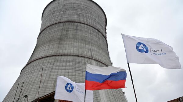 擁有俄羅斯設計的核反應堆的歐盟國家的核電廠在對其維護方面必須減少對俄羅斯的依賴 - 俄羅斯衛星通訊社
