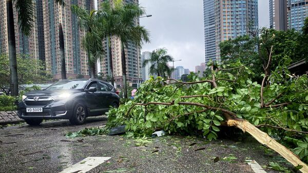 香港，一輛車從被超強颱風“蘇拉”強風吹斷的樹枝旁駛過 - 俄羅斯衛星通訊社