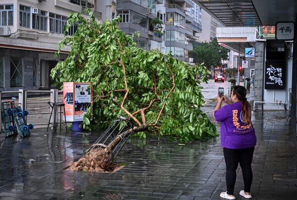 香港，銅鑼灣，一名婦女正在拍一棵被超強颱風“蘇拉”連根拔起倒在地上的樹 - 俄羅斯衛星通訊社