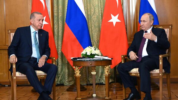 俄罗斯总统普京和土耳其总统埃尔多安开始在索契举行大范围谈判 - 俄罗斯卫星通讯社