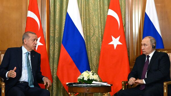 安卡拉期望普京将在俄罗斯和土耳其选举后来访
