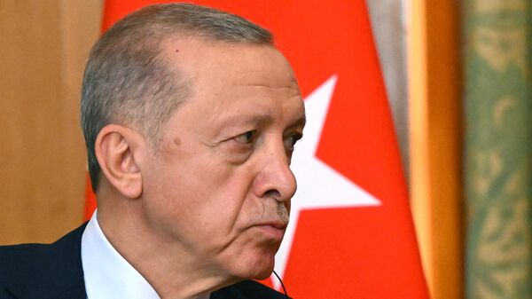 特朗普认为埃尔多安可以协助调解乌克兰冲突 - 俄罗斯卫星通讯社