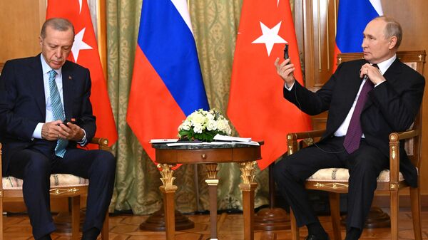 俄羅斯總統普京和土耳其總統埃爾多安開始在索契舉行大範圍談判 - 俄羅斯衛星通訊社